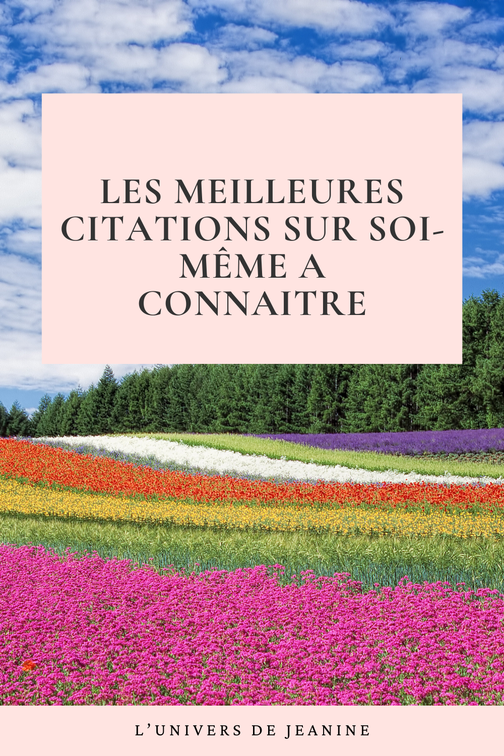 citation-sur-soi-meme-exemples